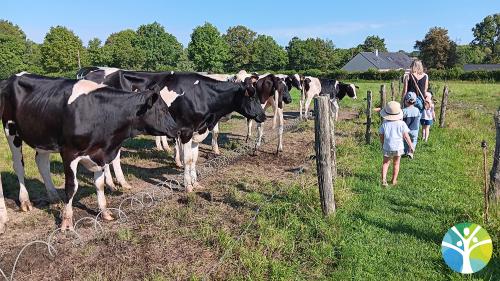 Sortie à la ferme pour la classe de petite section